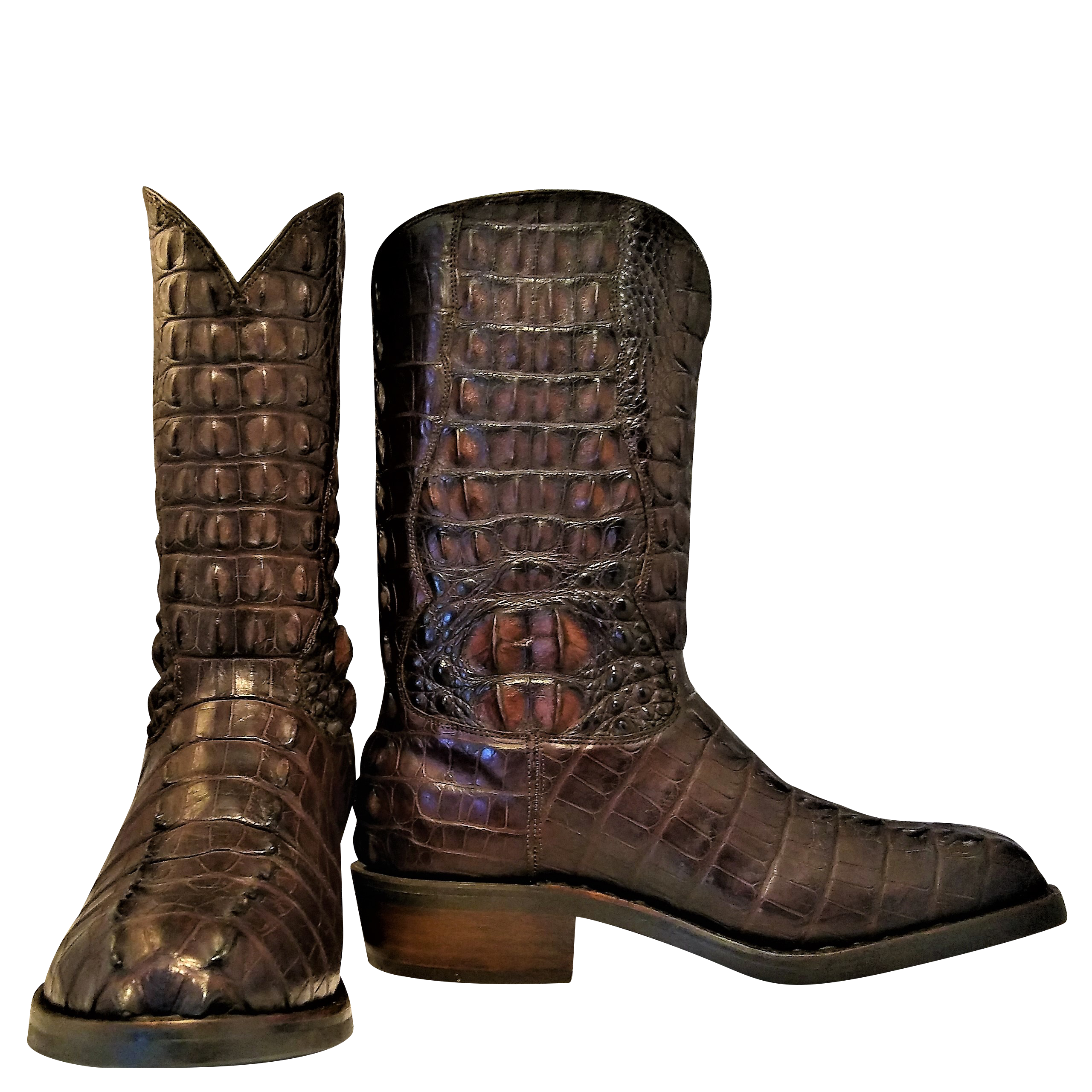 Hornback best sale alligator boots